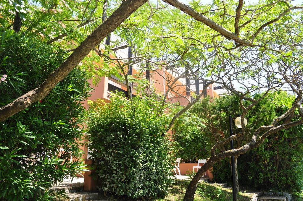 Club Residence Pianetamaratea Santa Caterina  Pokoj fotografie